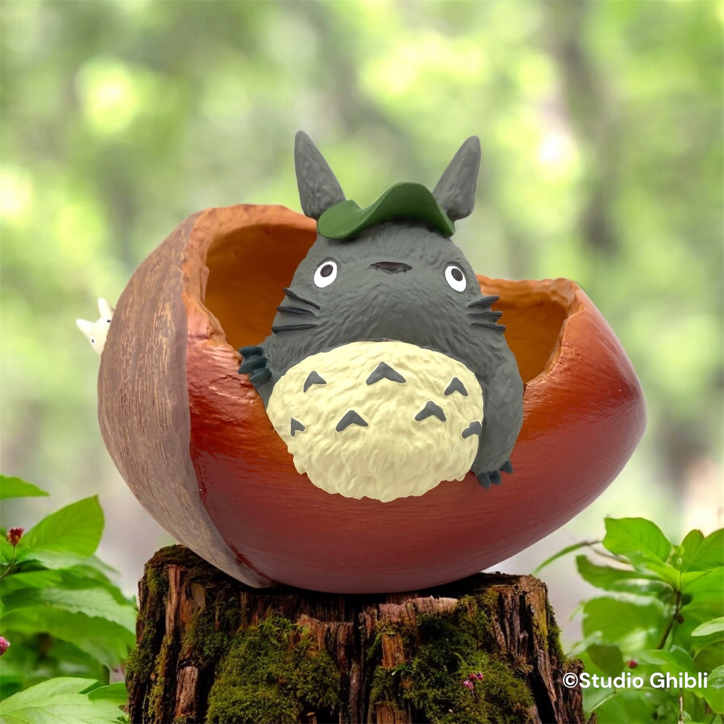 プランターカバー　どんぐりさいたよ　となりのトトロ