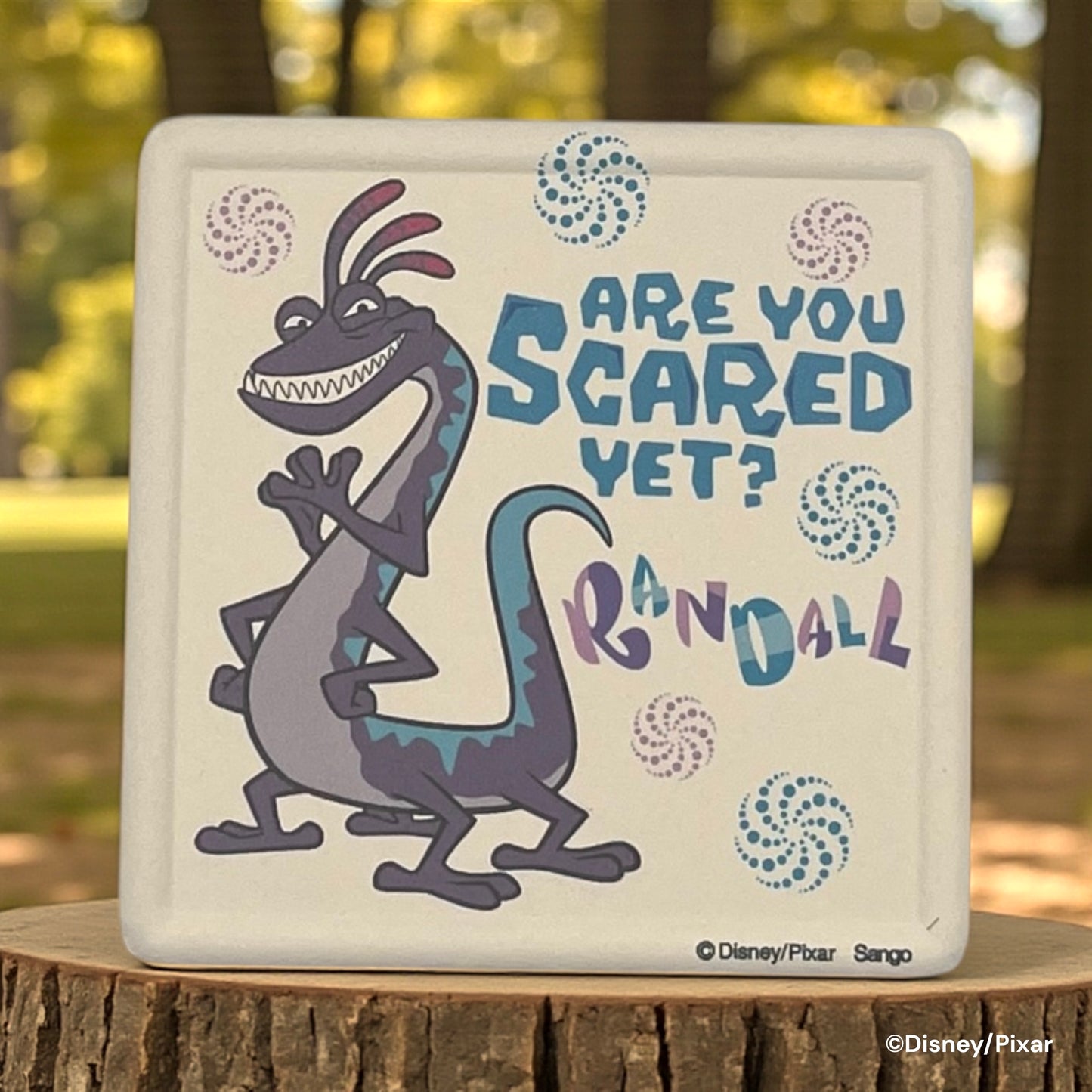 吸水コースター　ランドール・ボックス