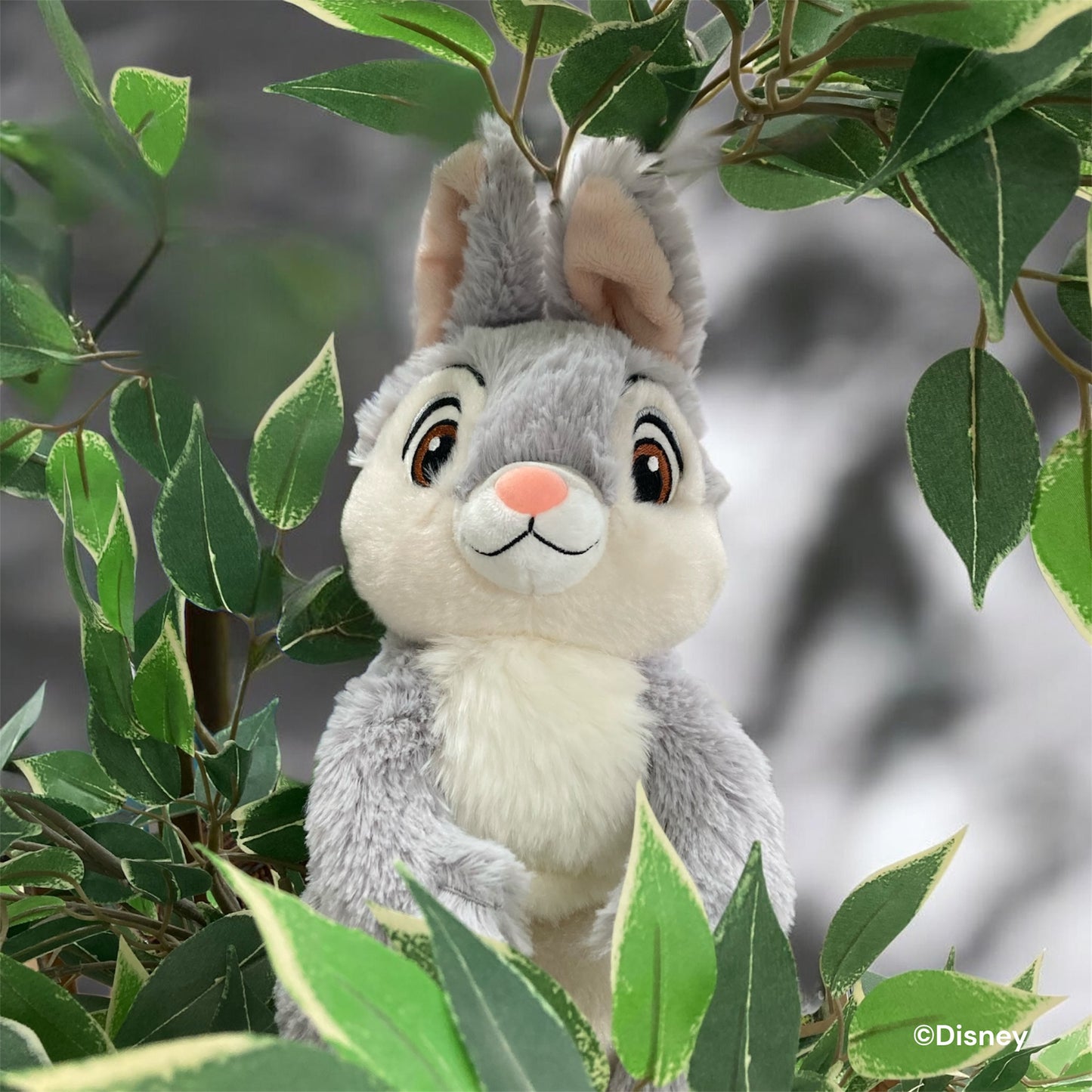 ぬいぐるみ　あそんで！とんすけ