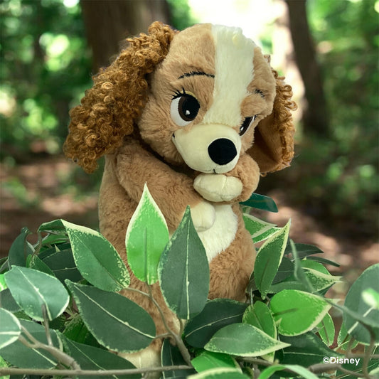 ぬいぐるみ　あそんで！レディ