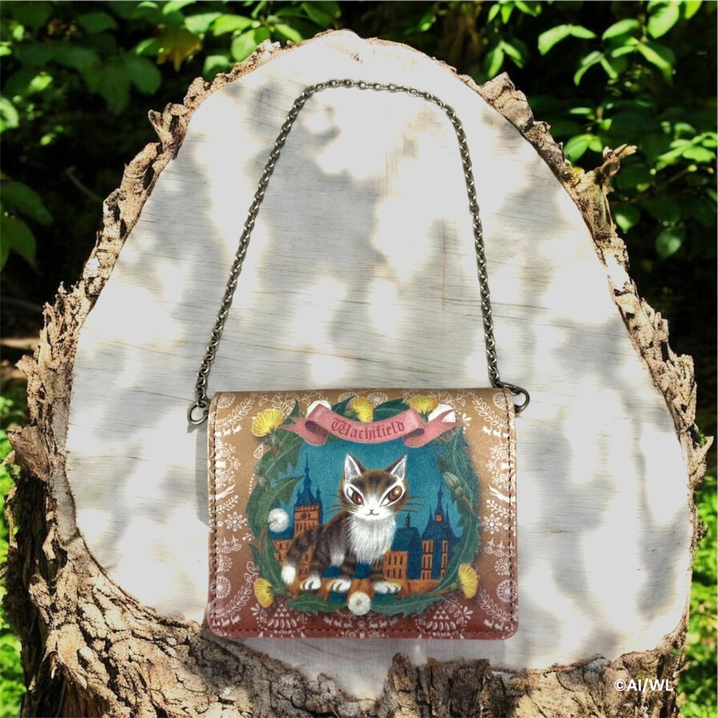 2面チェーンパス　シギショアラ　わちふぃーるど